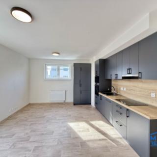 Pronájem bytu 1+kk, garsoniery 34 m² Heřmanova Huť