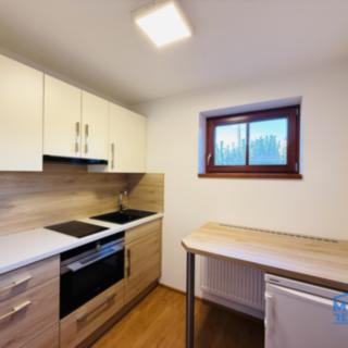 Pronájem bytu 1+1 36 m² Plzeň Skvrňany, Slovanské údolí