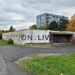 Pronájem garáže 20 m² Plzeň Jižní Předměstí, Čermákova