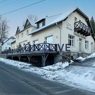 Prodej Ostatních komerčních prostor 630 m&sup2; Železná Ruda