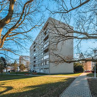 Prodej bytu 3+kk 63 m² Pardubice Polabiny, Nová