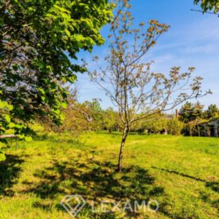 Prodej zahrady 877 m² Šatov