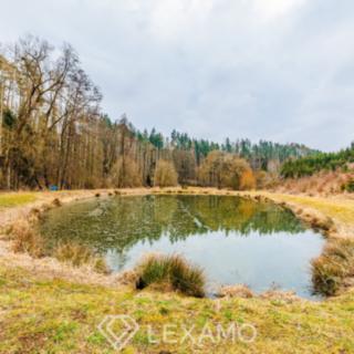 Prodej vodní plochy 11 304 m² Mladoňovice