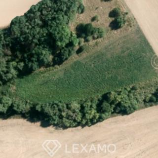 Prodej zemědělské půdy 3 575 m² Běhařovice