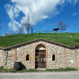 Prodej vinného sklepa 47 m² Vrbice