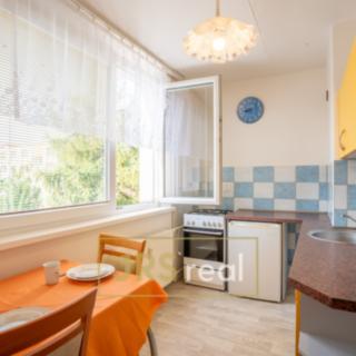 Prodej bytu 2+1 46 m² Hustopeče, U Větrolamu