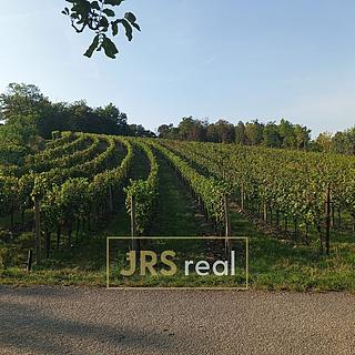 Prodej zemědělské půdy 3399 m&sup2; Mutěnice