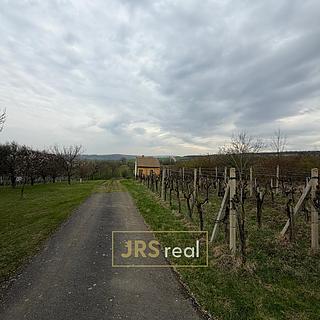 Prodej zemědělské půdy 2997 m&sup2; Hroznová Lhota