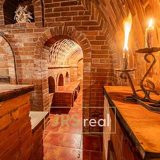 Prodej hotelu, penzionu 90 m&sup2; Bořetice