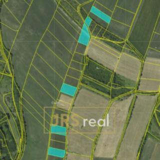 Prodej zemědělské půdy 17710 m² Prostřední Poříčí