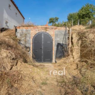 Prodej vinného sklepa 80 m² Mutěnice