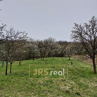 Prodej zemědělské půdy 4 446 m² Blučina