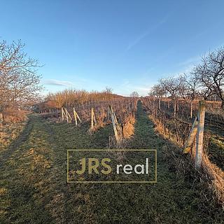 Prodej zemědělské půdy 3 139 m² Kobylí