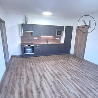 Pronájem bytu 2+kk 50 m² České Budějovice 6, Novohradská