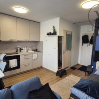Pronájem bytu 1+kk a garsoniéry 22 m² České Budějovice, Pekárenská