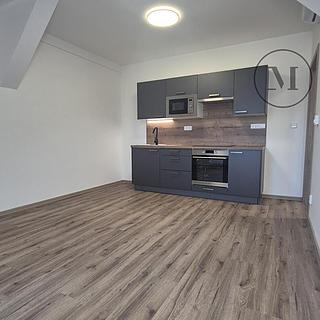 Pronájem bytu 2+kk 42 m² České Budějovice 6, Novohradská