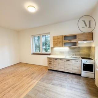 Pronájem bytu 2+kk 50 m² Netolice, Hornická