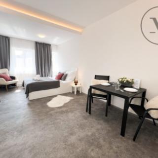 Pronájem bytu 1+kk, garsoniery 26 m² České Budějovice