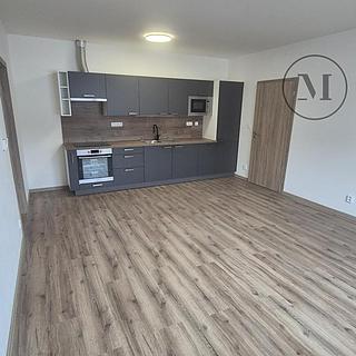 Pronájem bytu 2+kk 50 m² České Budějovice 6, Novohradská