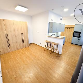 Pronájem bytu 1+kk a garsoniéry 30 m² České Budějovice 5, Družstevní