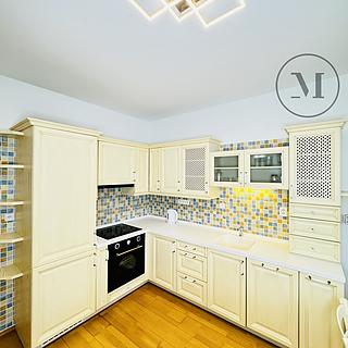 Pronájem bytu 1+1 55 m² České Budějovice 3, Riegrova