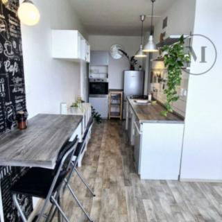 Pronájem bytu 2+kk 50 m² České Budějovice 3, Kubatova
