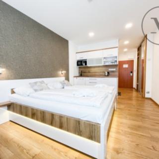 Prodej bytu 1+kk a garsoniéry 31 m² Frymburk