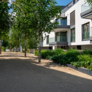 Pronájem bytu 2+kk 95 m² Popovičky Nebřenice, Dubová
