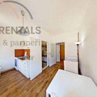 Pronájem bytu 1+1 38 m² Praha Karlín, Sokolovská