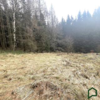 Prodej stavební parcely 1753 m² Gruna