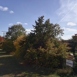 Prodej stavební parcely 5 140 m² Ruprechtov