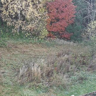 Prodej stavební parcely 1 753 m² Gruna Žipotín