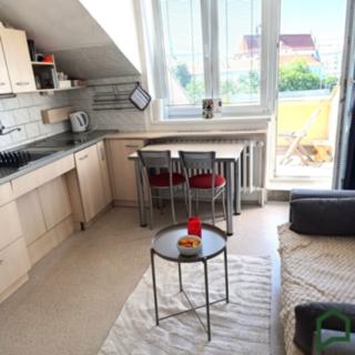 Pronájem bytu 1+1 49 m² Brno, Koliště