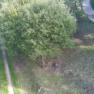 Prodej stavební parcely 614 m² Blansko