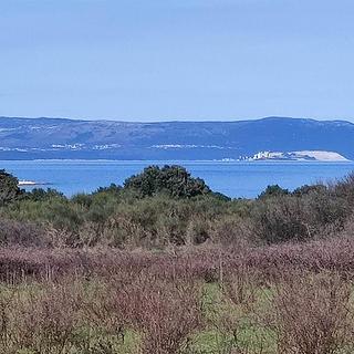 Prodej stavební parcely, 7340m&sup2;