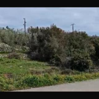 Prodej stavební parcely, 568m&sup2;