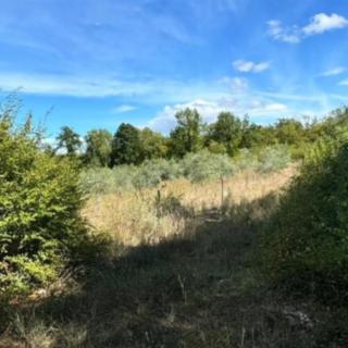 Prodej stavební parcely, 15530m&sup2;