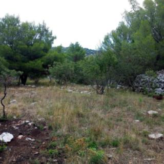 Prodej stavební parcely, 10984m&sup2;