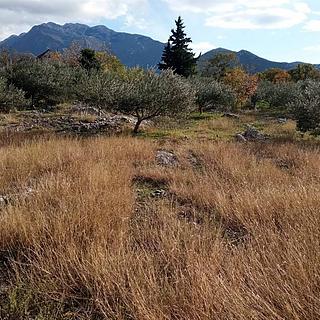 Prodej stavební parcely, 4200m&sup2;