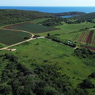 Prodej stavební parcely, 2800m&sup2;