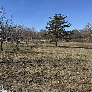 Prodej stavební parcely, 1114m&sup2;