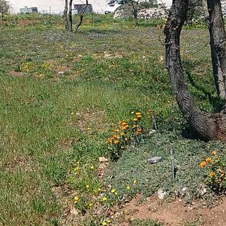 Prodej stavební parcely, 1970m&sup2;