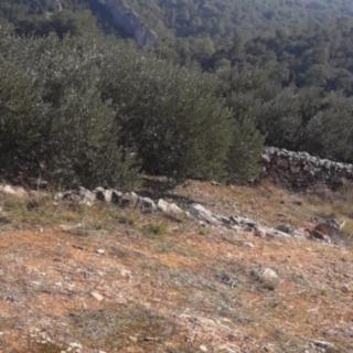 Prodej stavební parcely, 11395m&sup2;