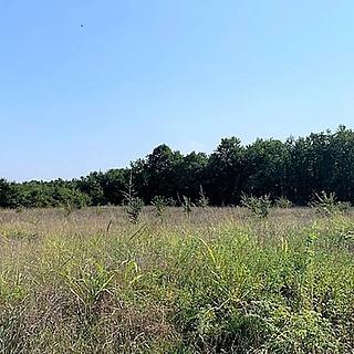 Prodej stavební parcely, 6084m&sup2;