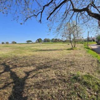 Prodej stavební parcely, 1473m²