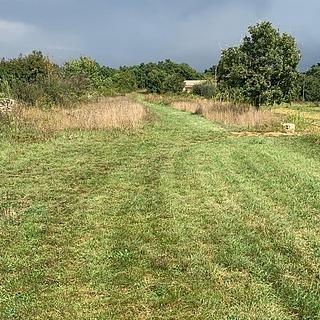 Prodej stavební parcely, 503m²