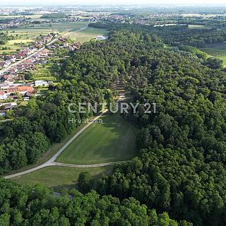 Prodej ostatních pozemků, 55373m&sup2;