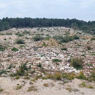 Prodej stavební parcely, 8000m²