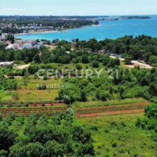 Prodej komerčního pozemku, 1733m²