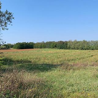 Prodej stavební parcely, 5021m²